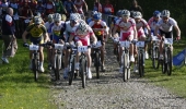La course